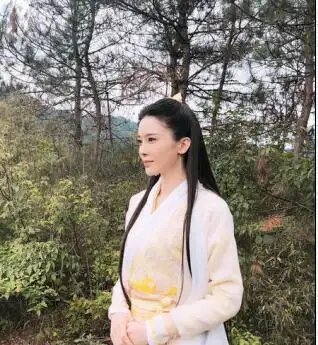 图五,胡小冉版黄衫女这个版本的张无忌由苏有朋扮演,赵敏由贾静雯饰演